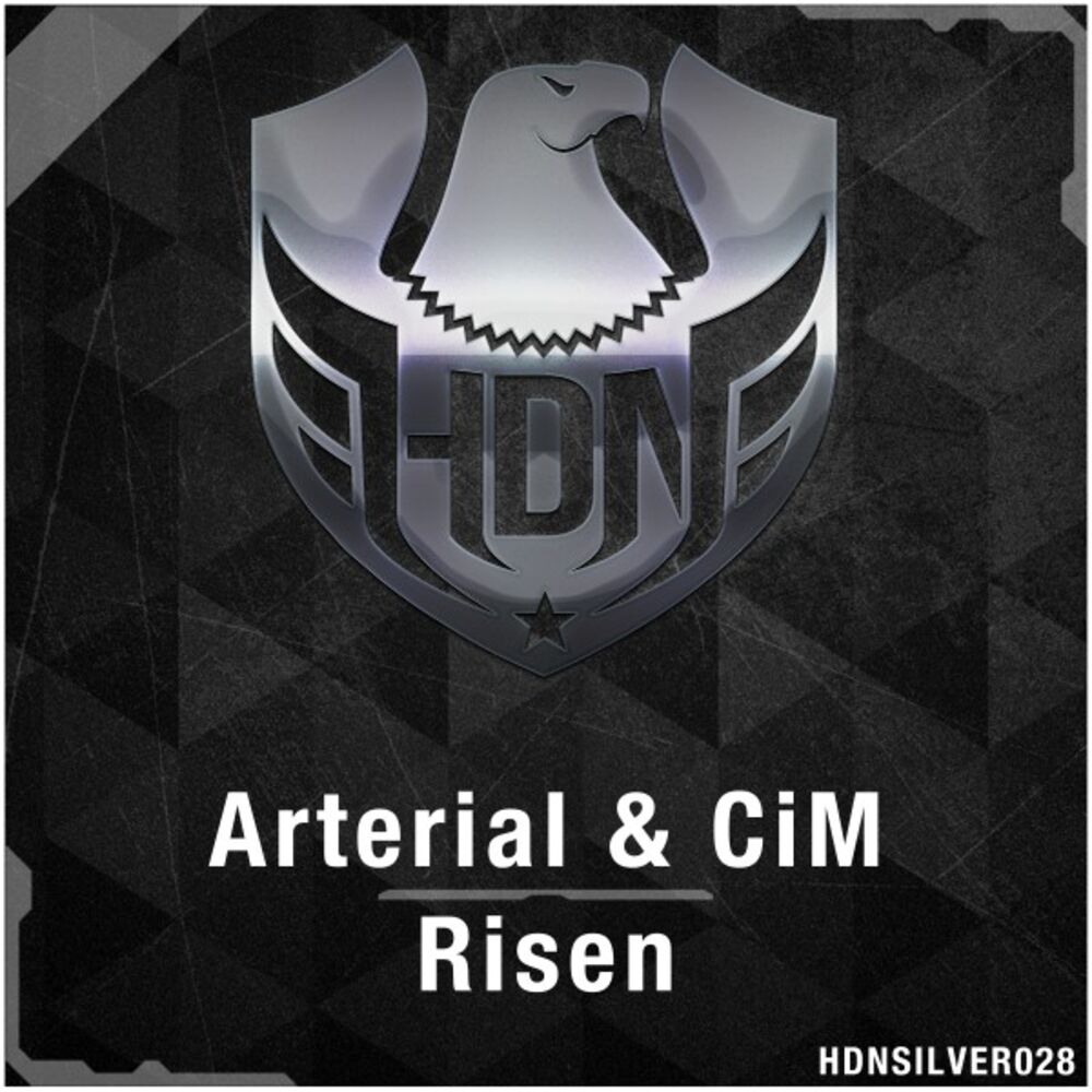 Picture of Risen