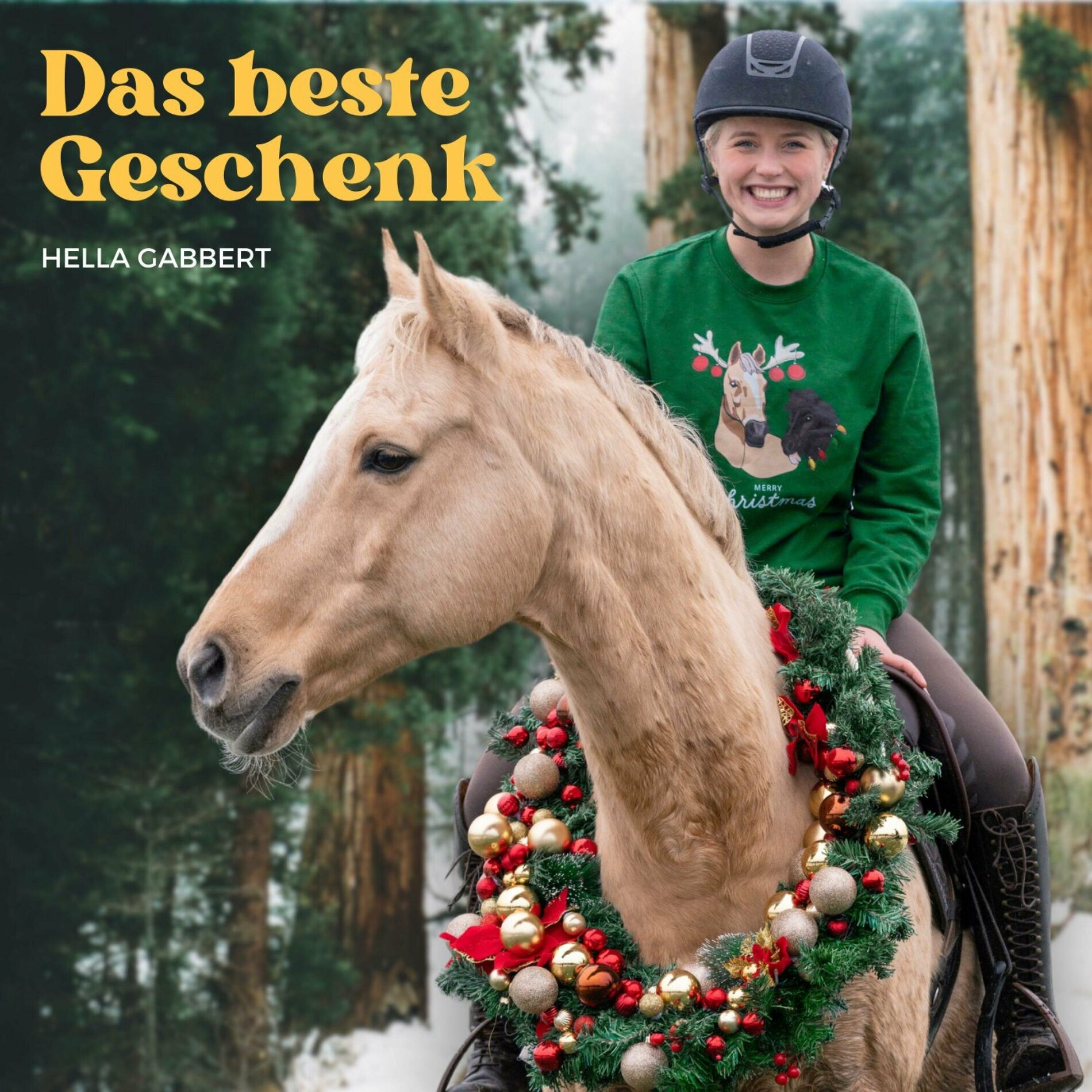 Album cover of Das beste Geschenk