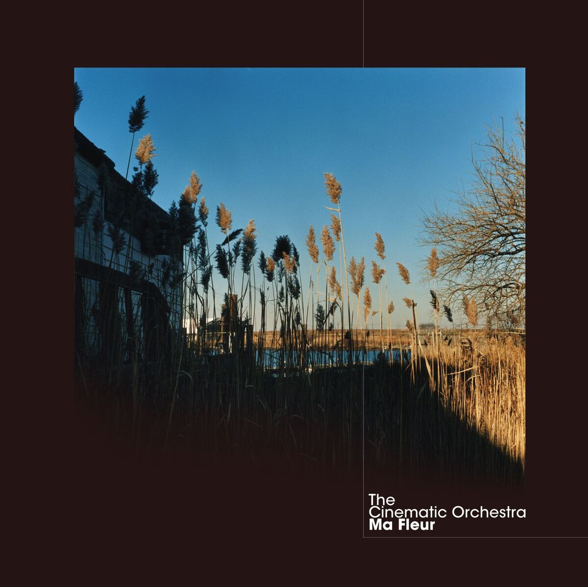 Album cover of To Build A Home