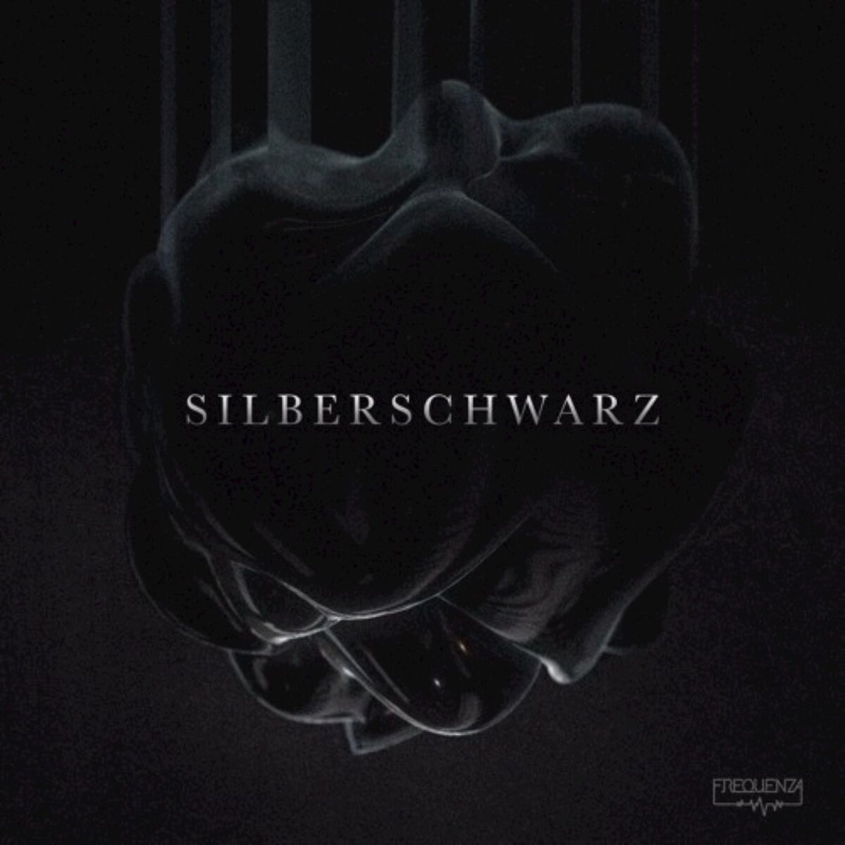 Album cover of Silberschwarz
