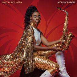 Cover of New Mornings