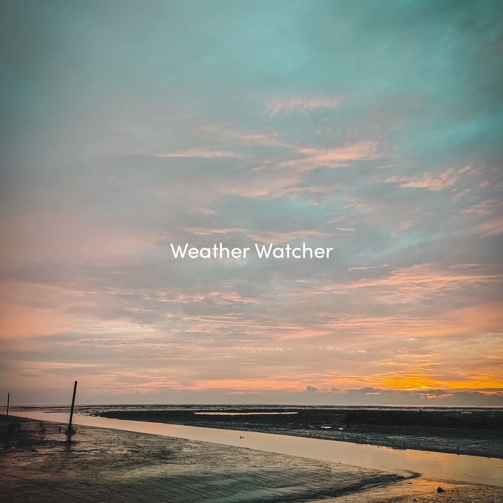 Picture of Weather Watcher