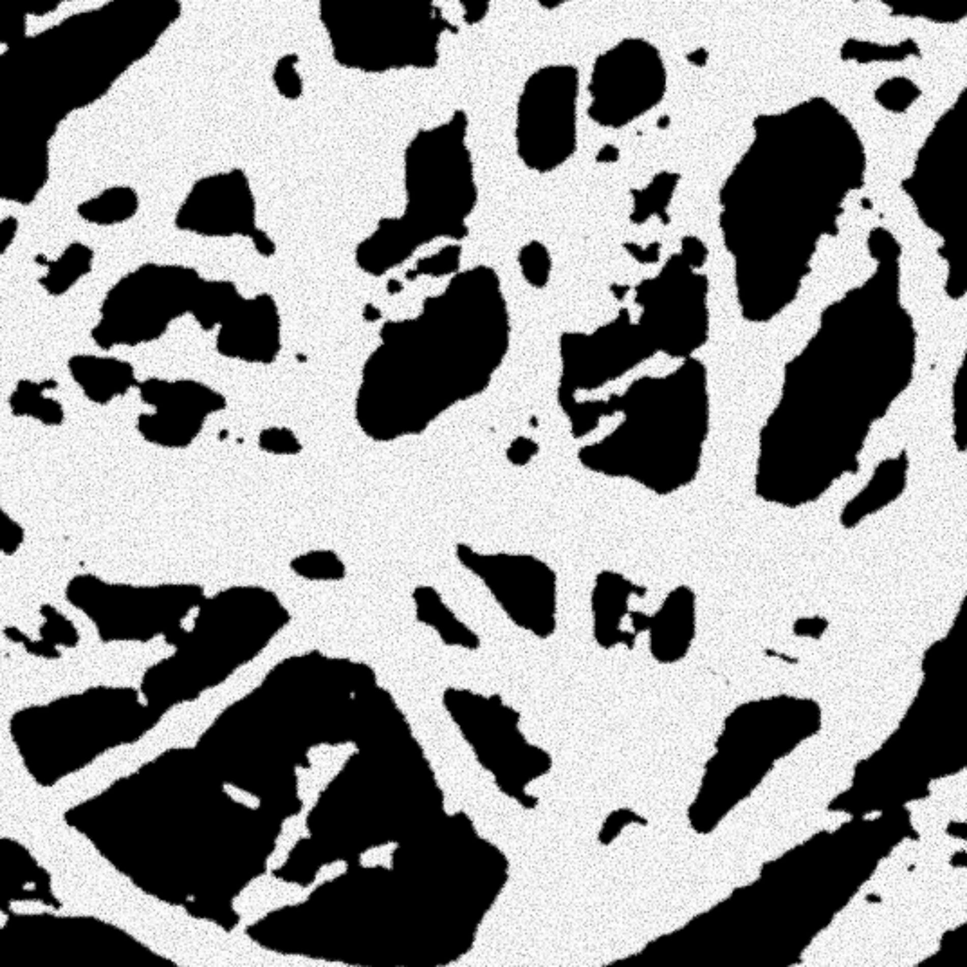 Album cover of Creases (feat. Pink Siifu)
