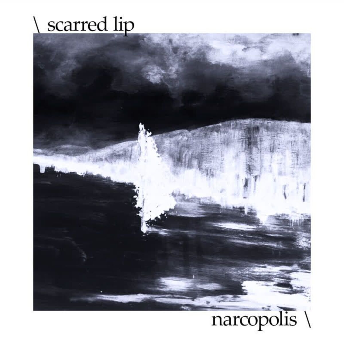 Album cover of narcopolis
