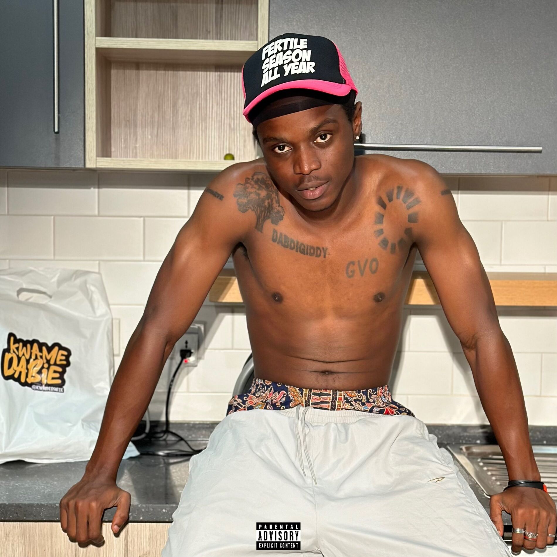 Album cover of Fallen Dynamite Freestyle