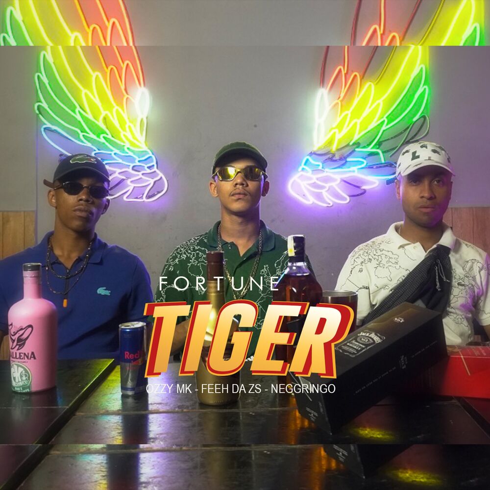 Picture of Fortune Tiger
