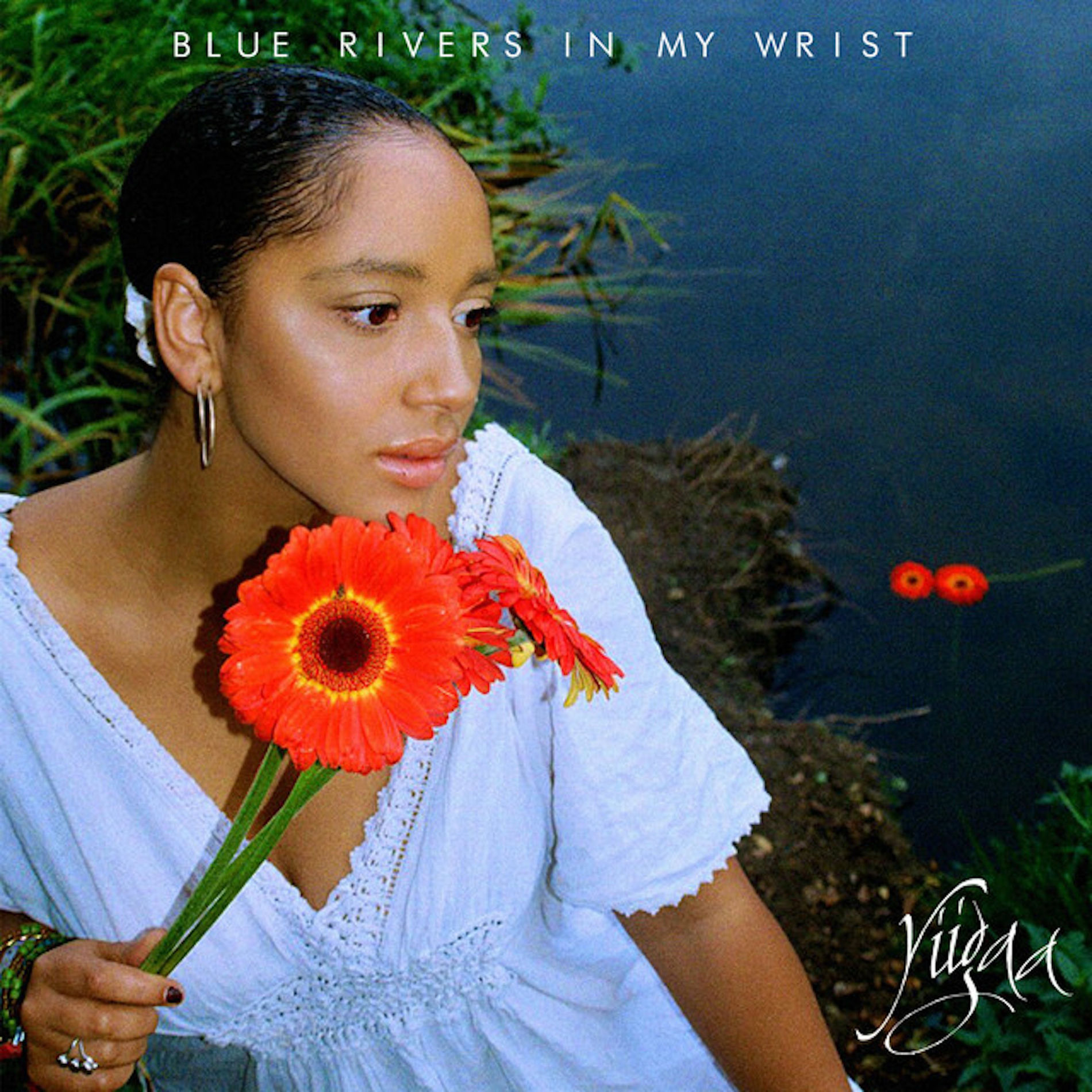 Album cover of Blue Rivers in My Wrist