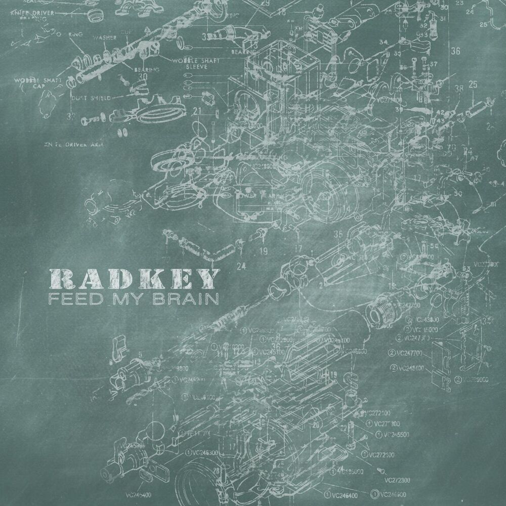 Picture of Feed My Brain