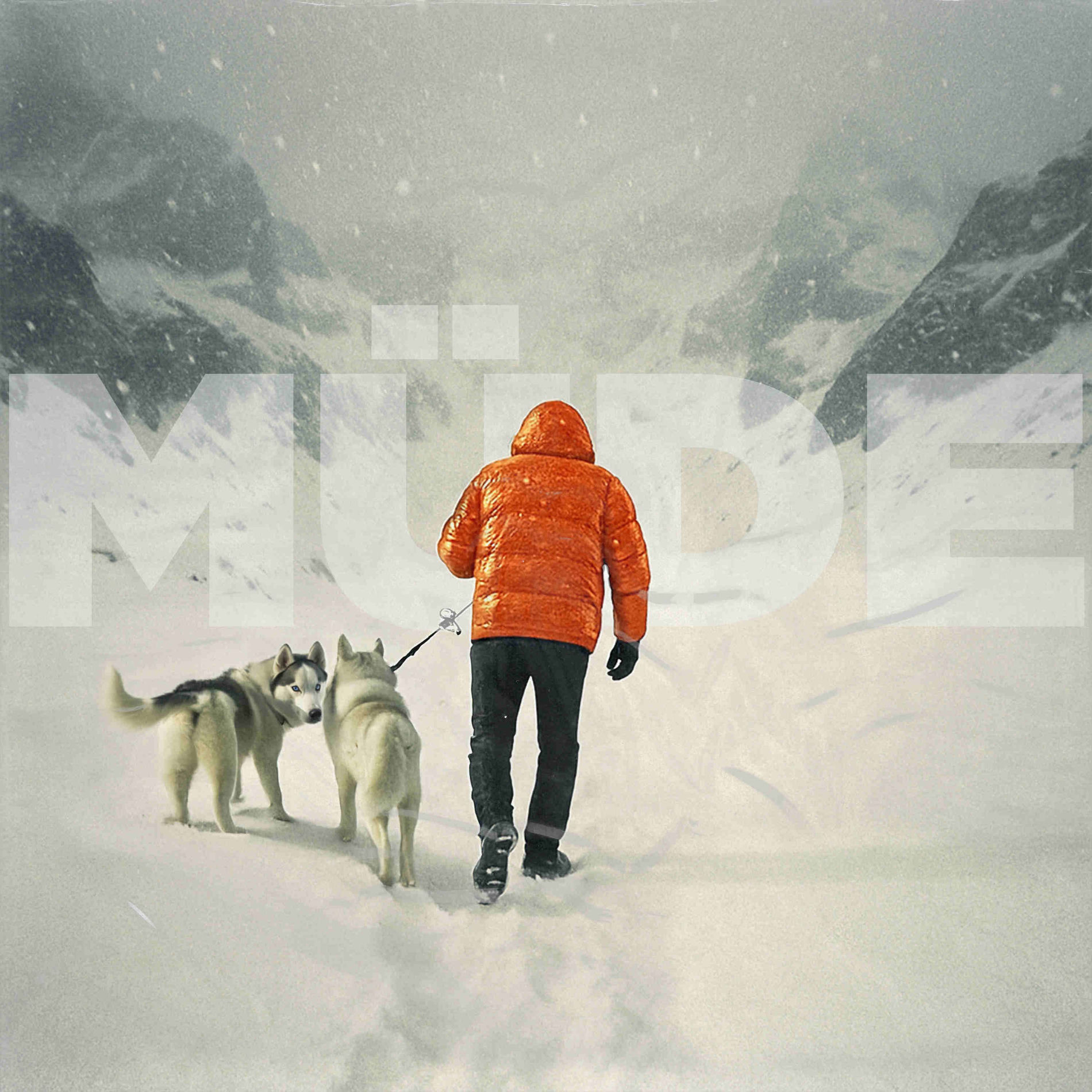 Album cover of Müde
