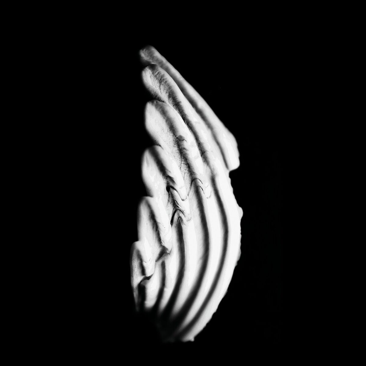 Album cover of Argon