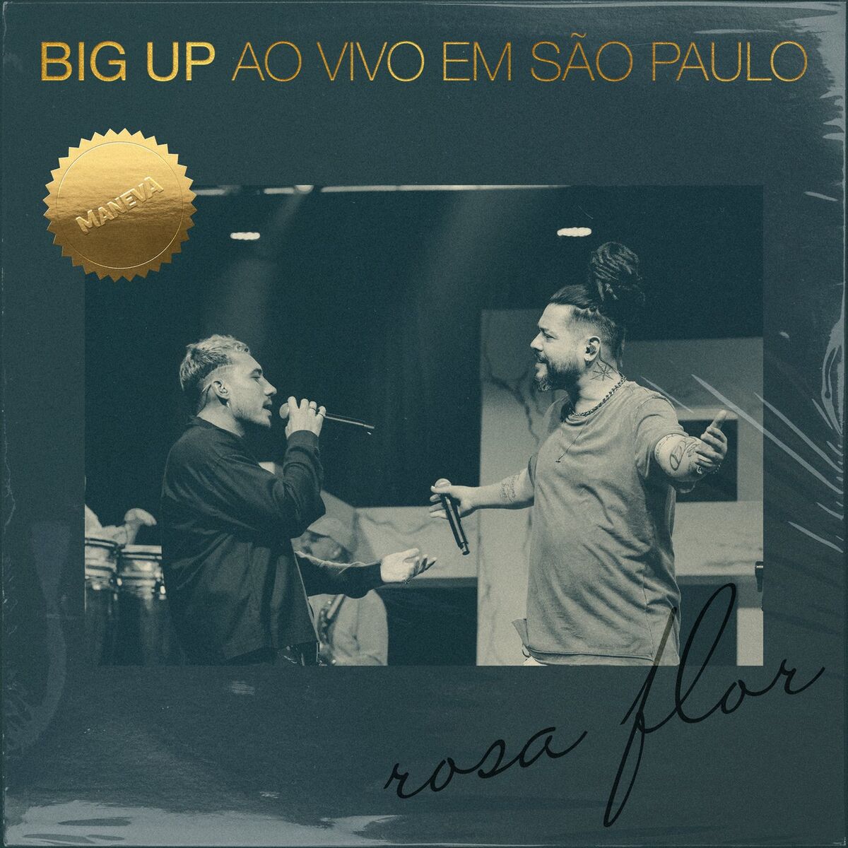 Album cover of Rosa Flor (Ao Vivo)