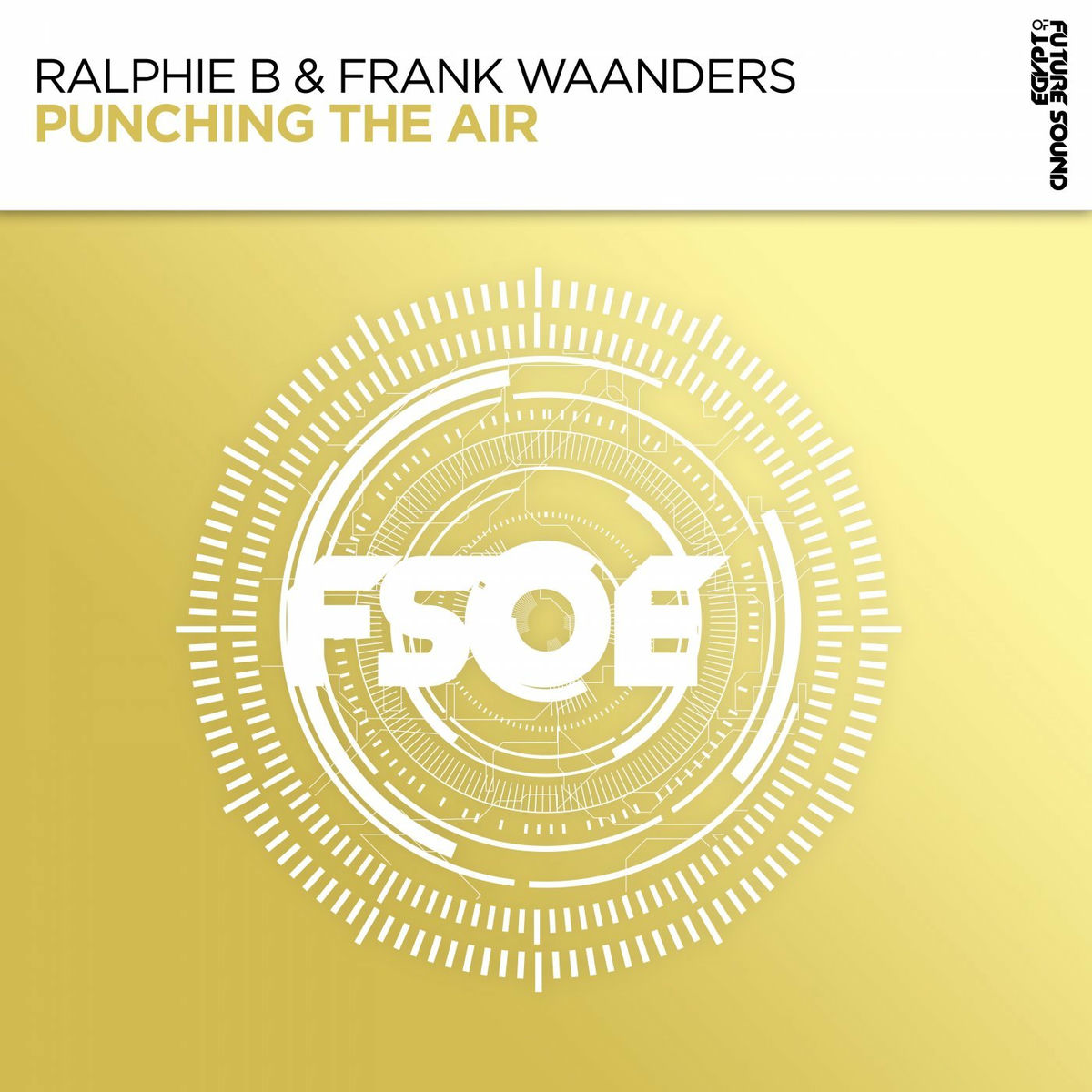 Album cover of Punching The Air