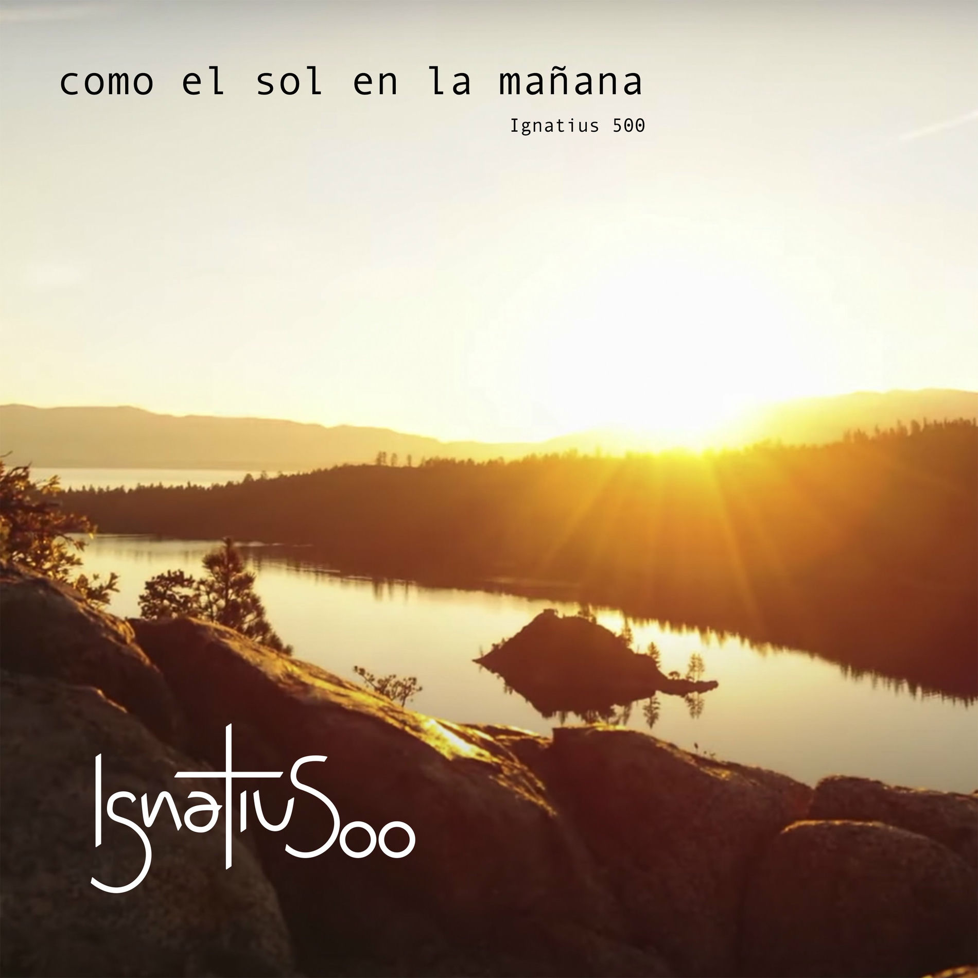 Album cover of Como el sol en la mañana
