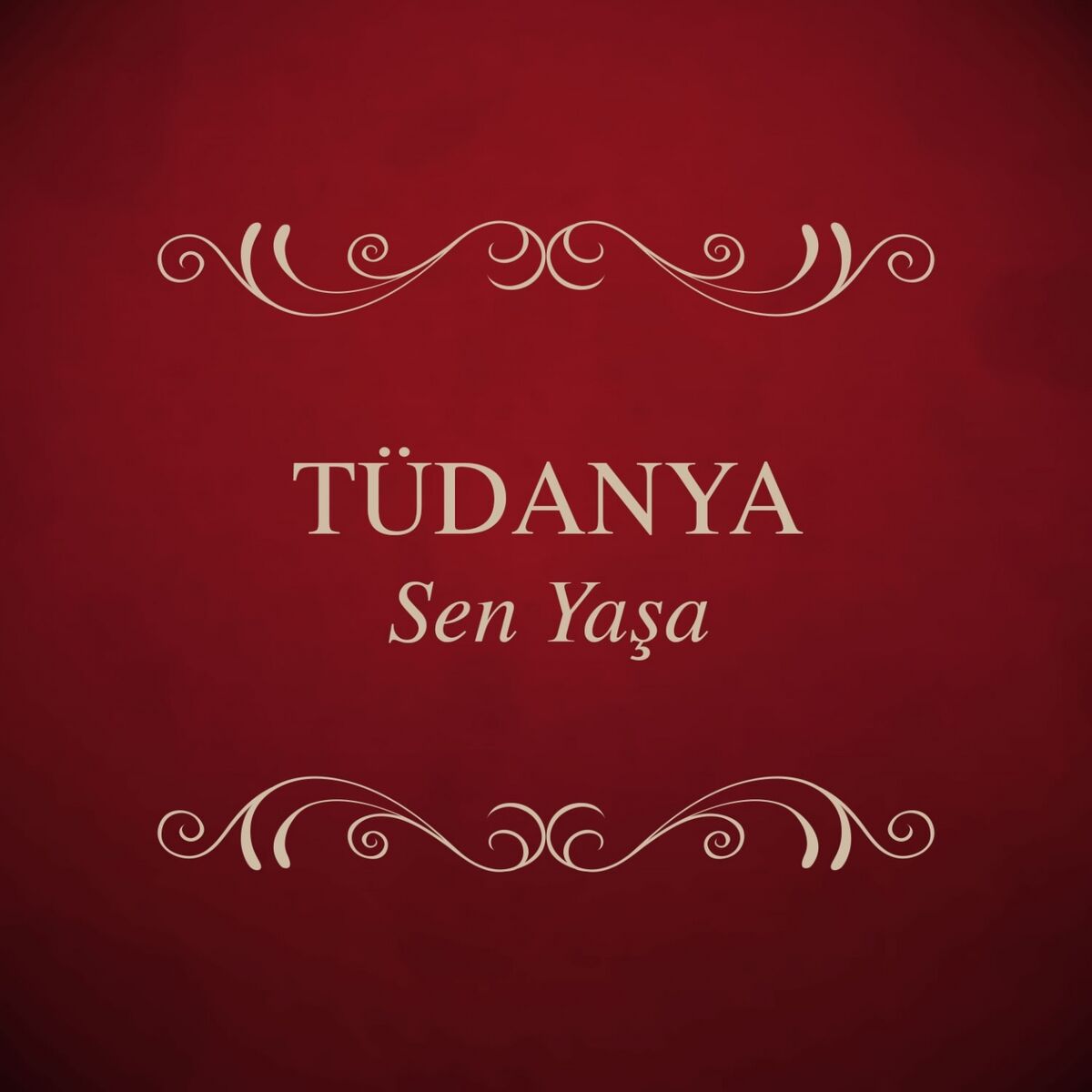 Album cover of Gidiyor