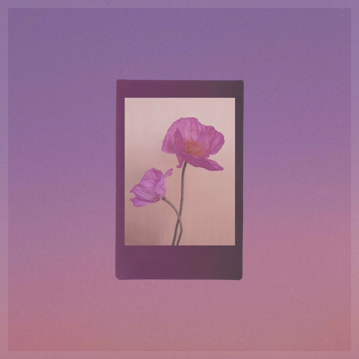 Album cover of Thank You