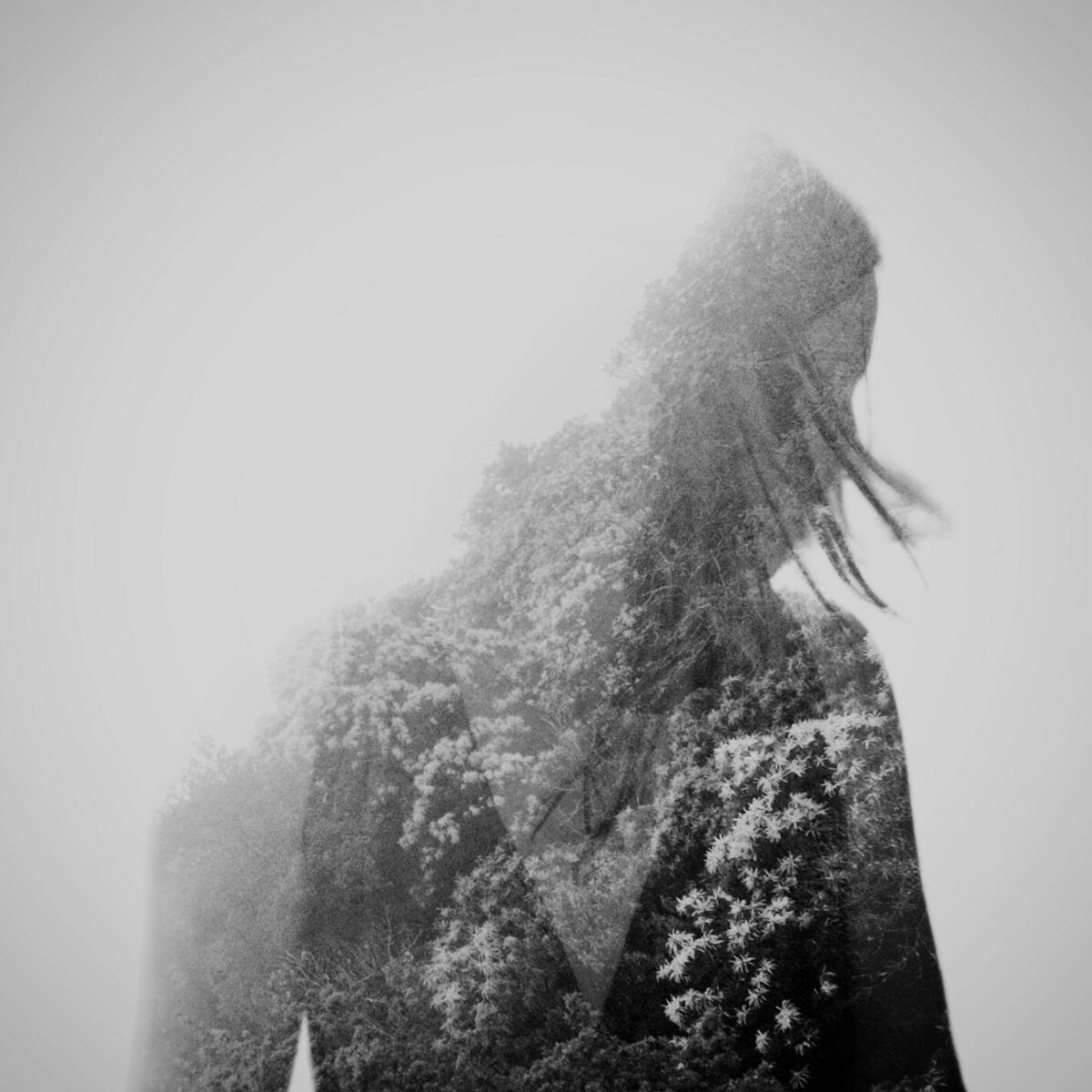 Album cover of NUMB
