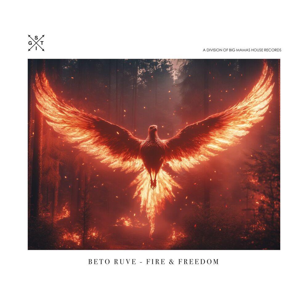 Picture of Fire & Freedom