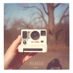 Cover of Polaroid