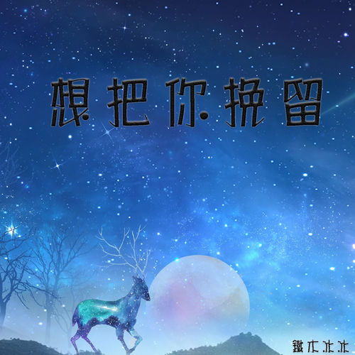 想把你挽留