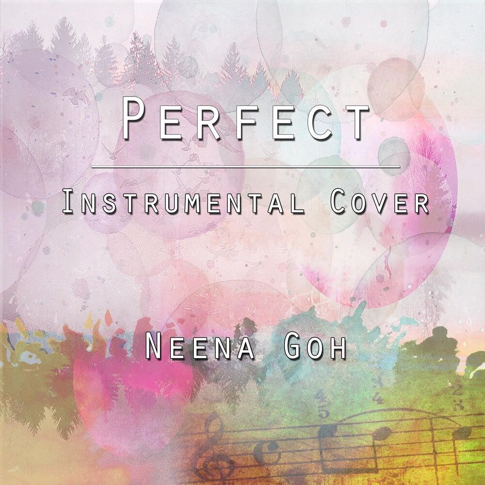 Picture of Perfect (Instrumental Cover)