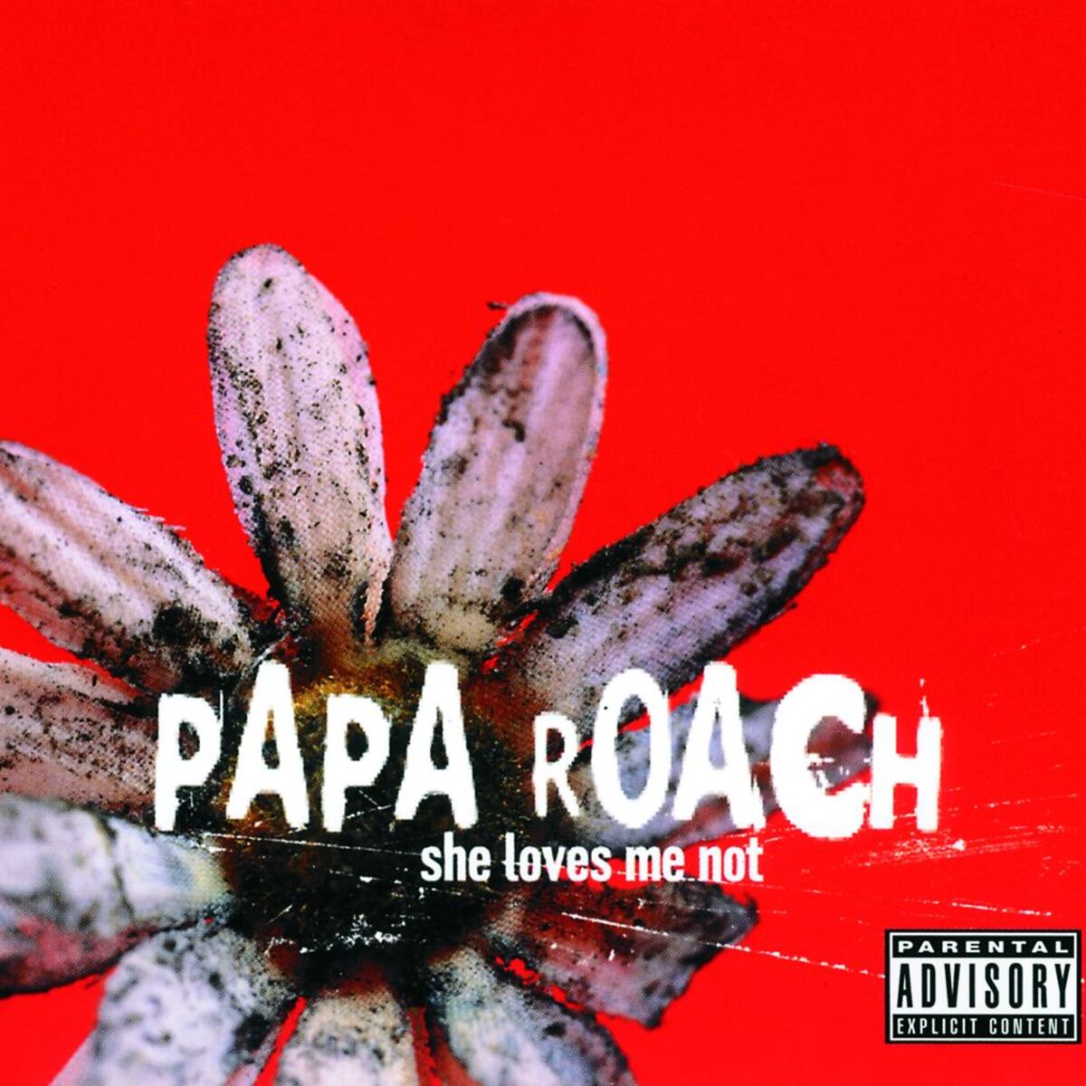 Album cover of She Loves Me Not
