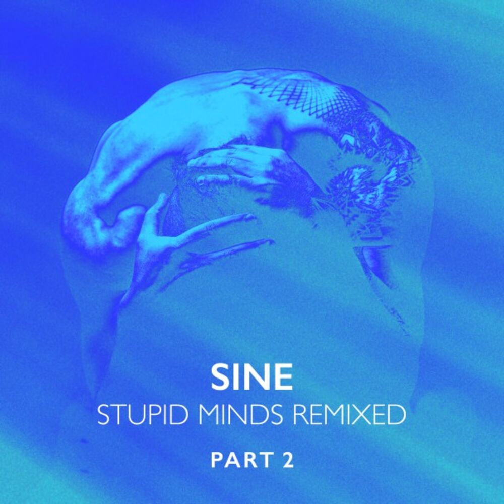 Picture of Stupid Minds Remixed, Pt. 2