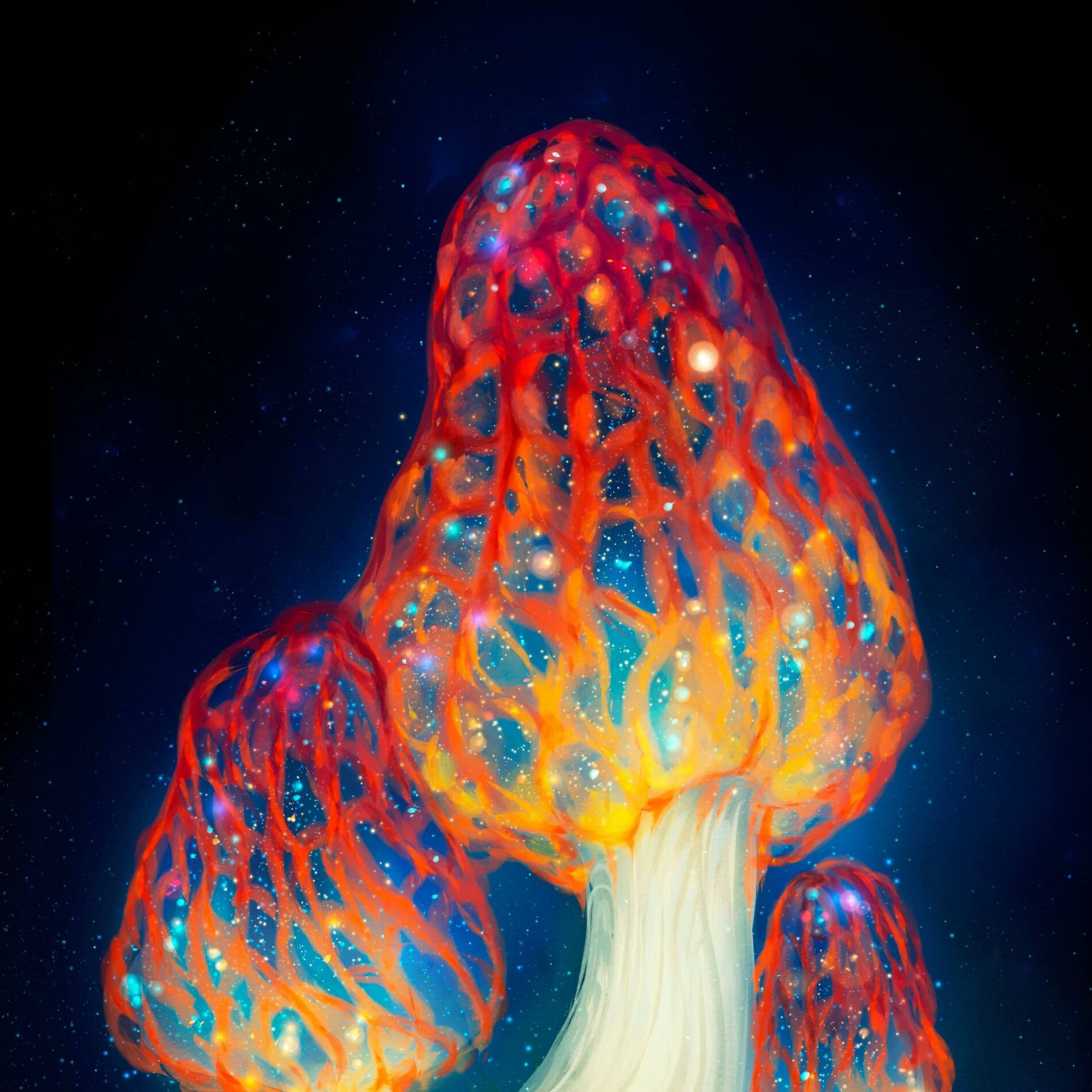 Album cover of Mind Unfolded