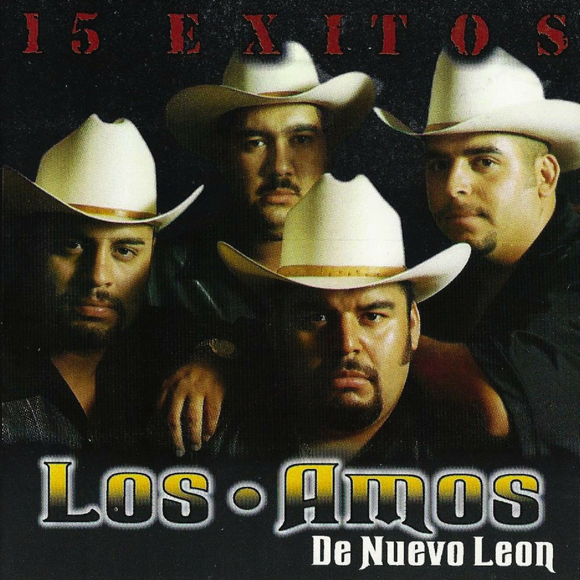 Album cover of 15 Exitos