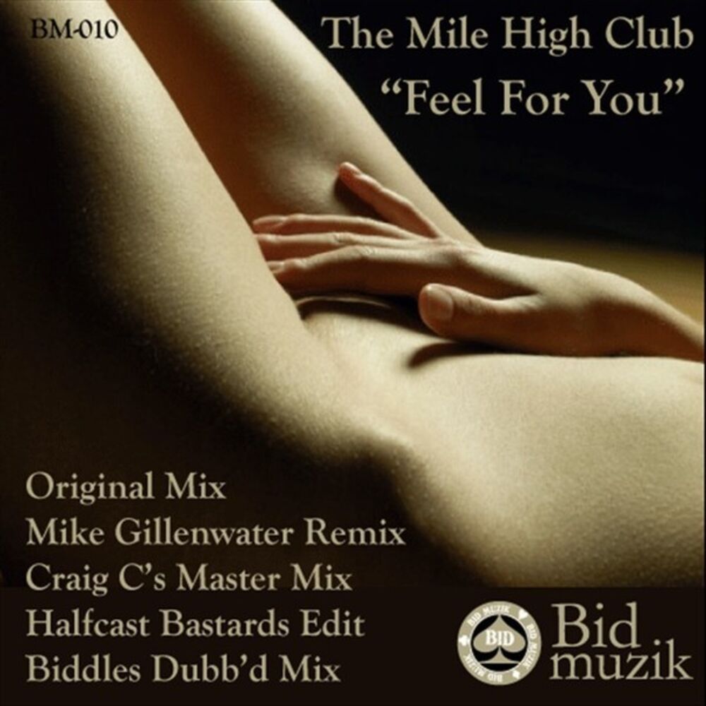 Picture of Feel For You