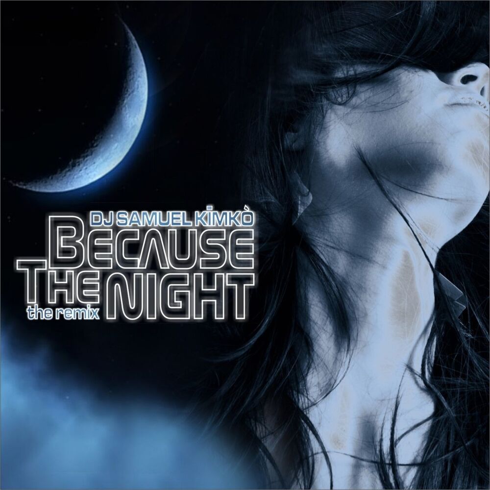 Picture of Because the Night (The Remix)