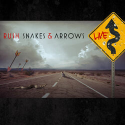 Cover of Snakes & Arrows Live