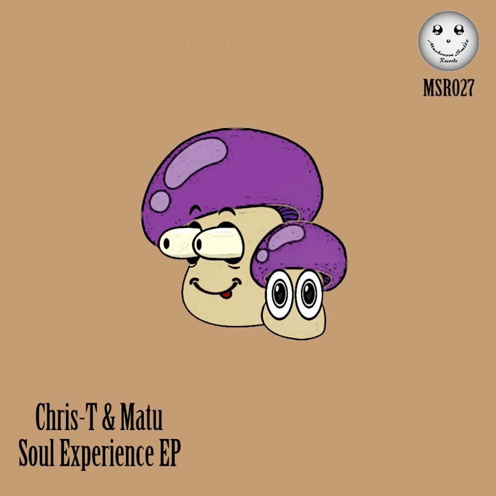 Picture of Soul Experience EP