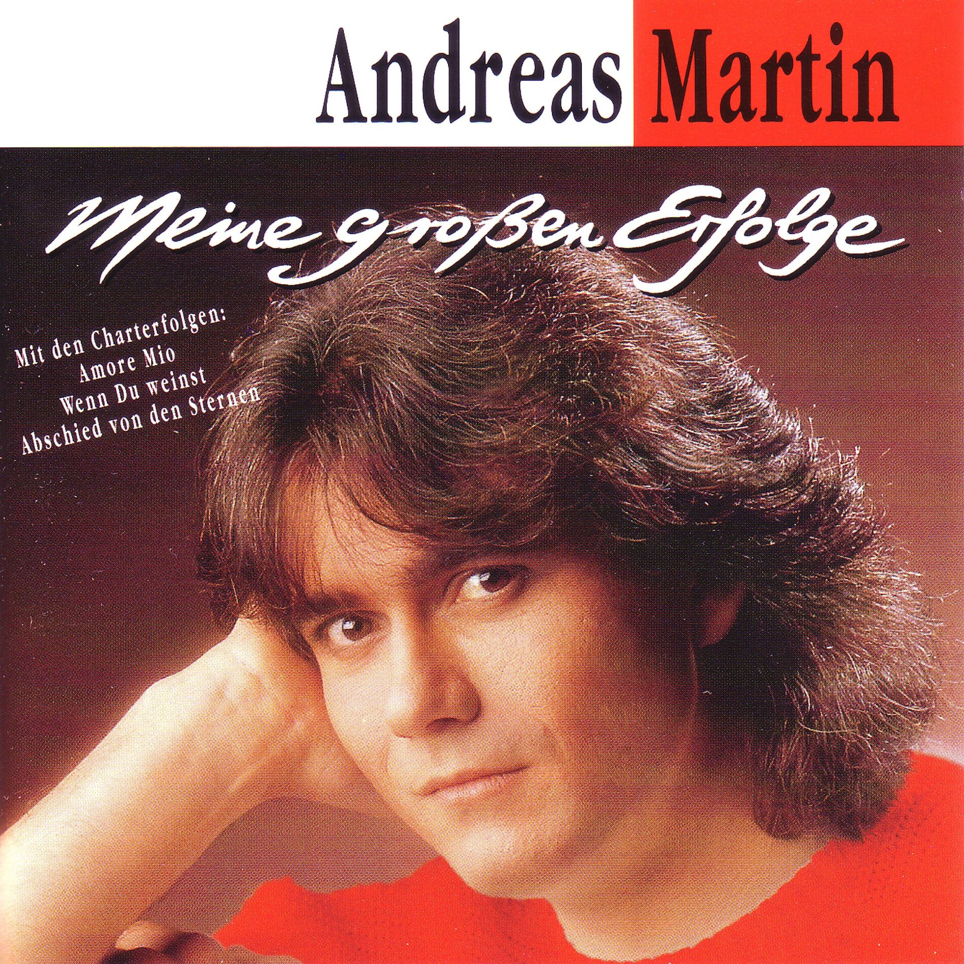 Album cover of Meine großen Erfolge