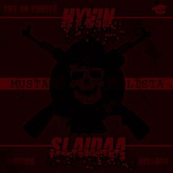 Cover of Hyvin slaidaa