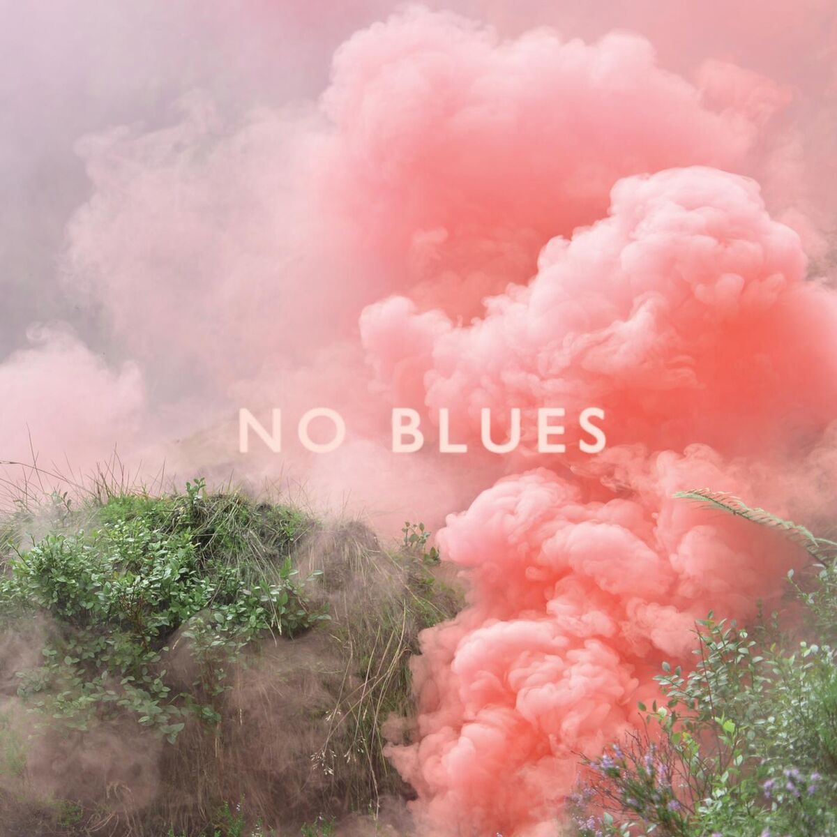 Album cover of NO BLUES