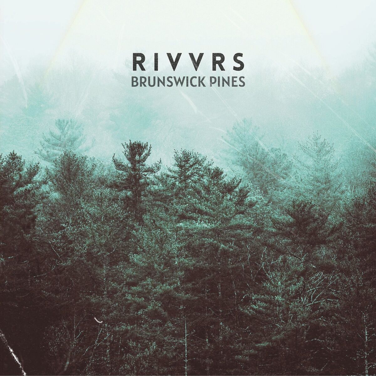 Album cover of Brunswick Pines
