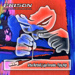 Cover of Flying High