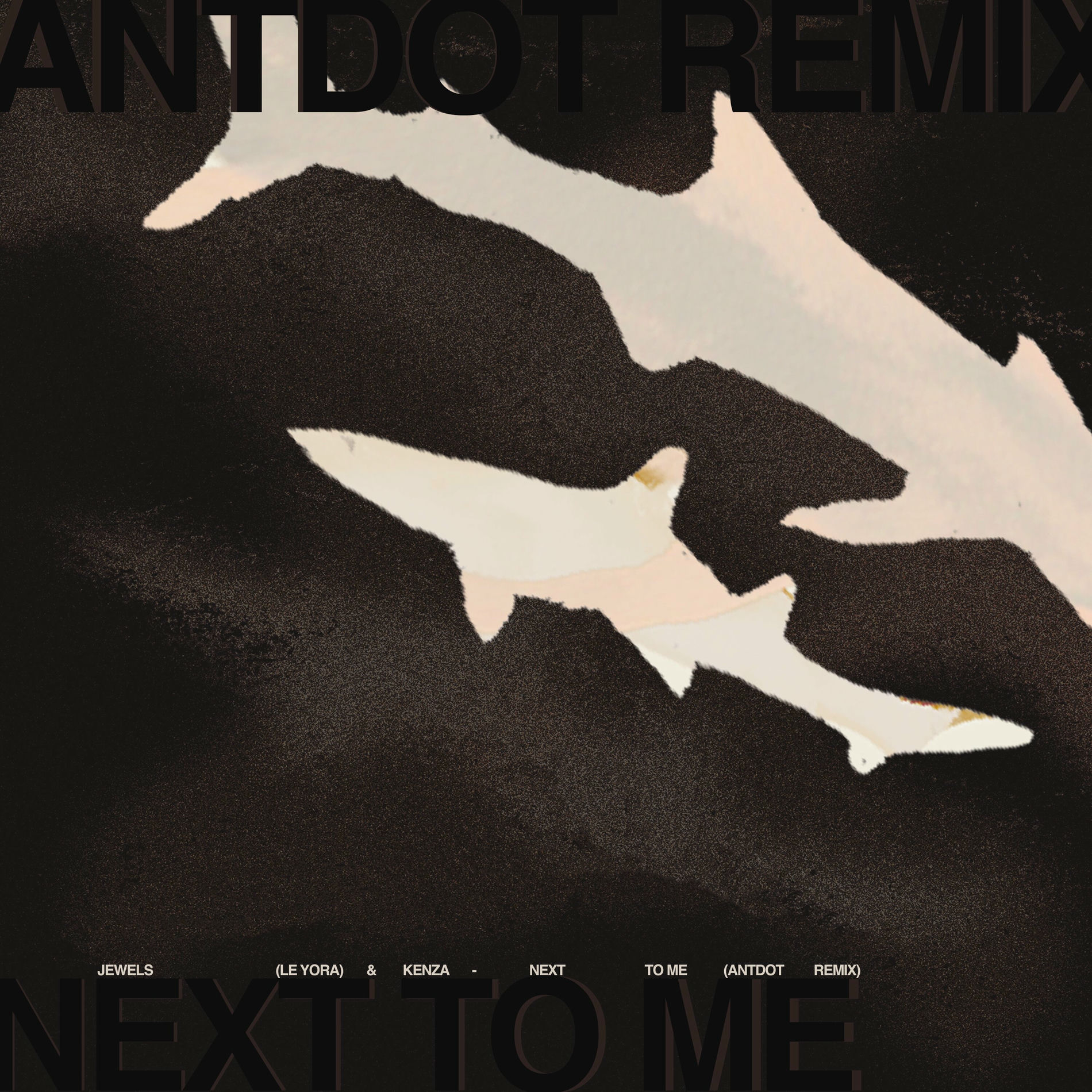 Album cover of Next To Me (Antdot Remix)