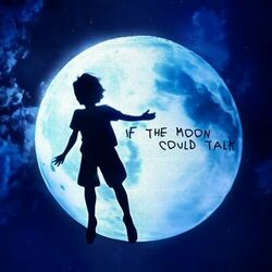 Cover of If The Moon Could Talk