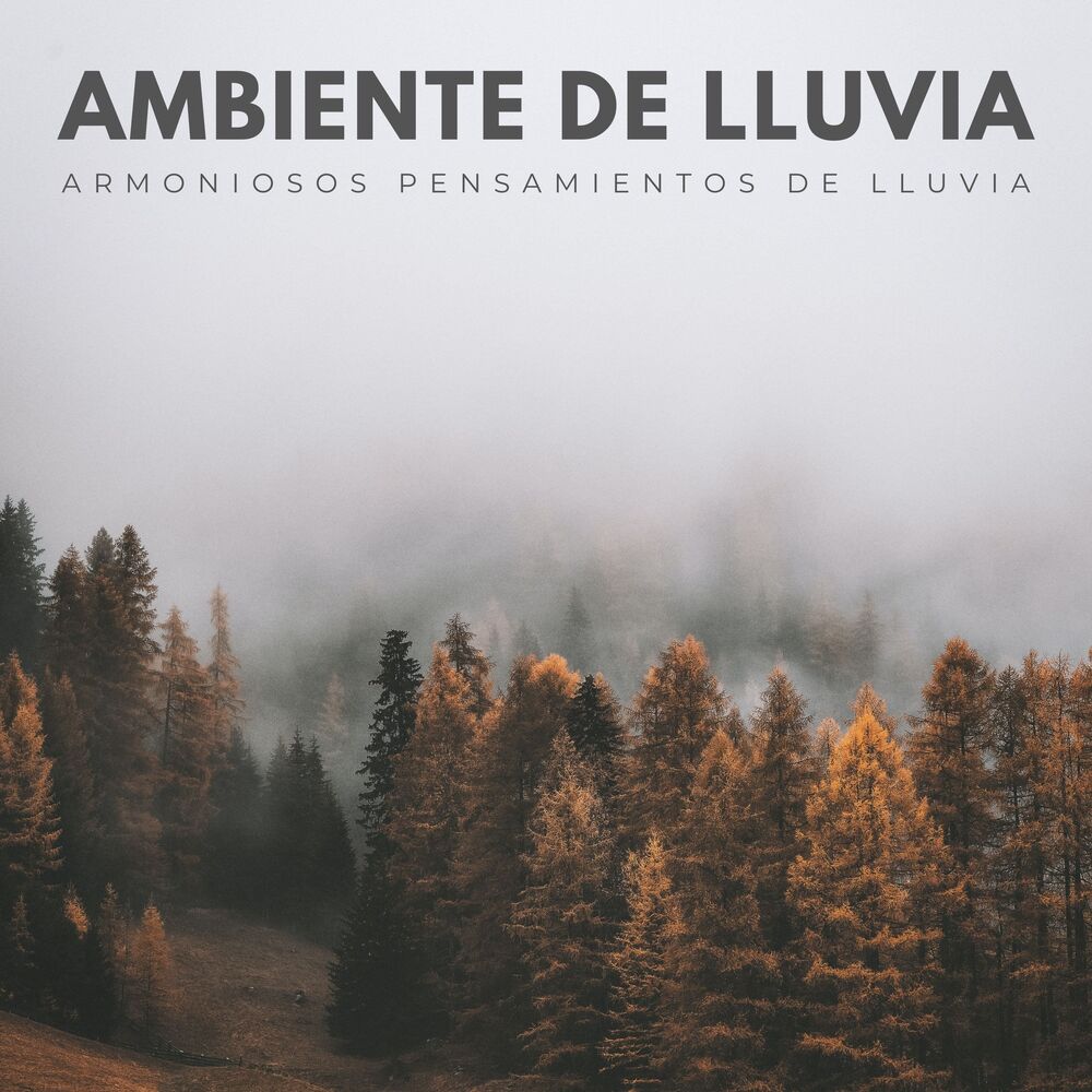 Picture of Ambiente De Lluvia: Armoniosos Pensamientos De Lluvia