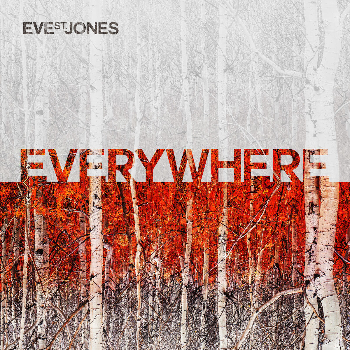 Album cover of Everywhere