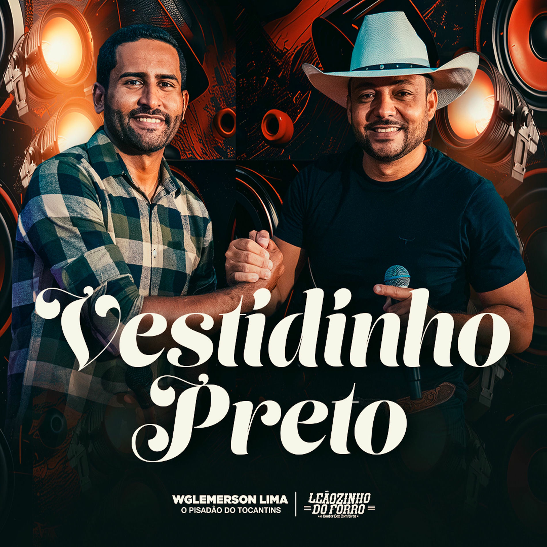 Album cover of Vestidinho Preto