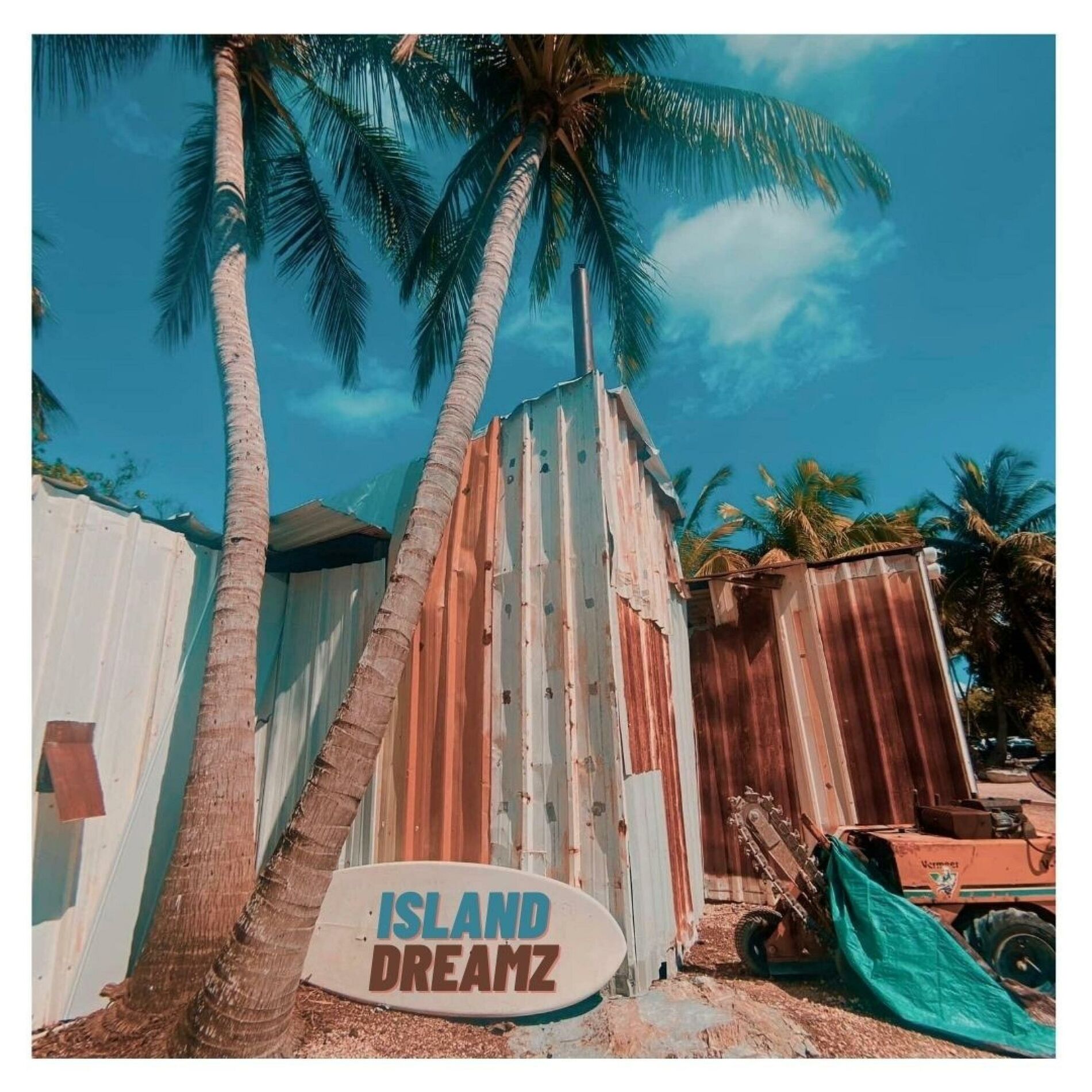 Album cover of Island Dreamz (feat. Skillinjah)