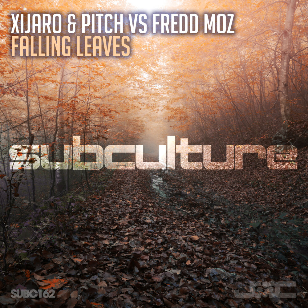 Picture of Falling Leaves