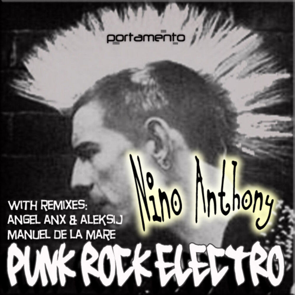 Picture of Punk Rock Electro