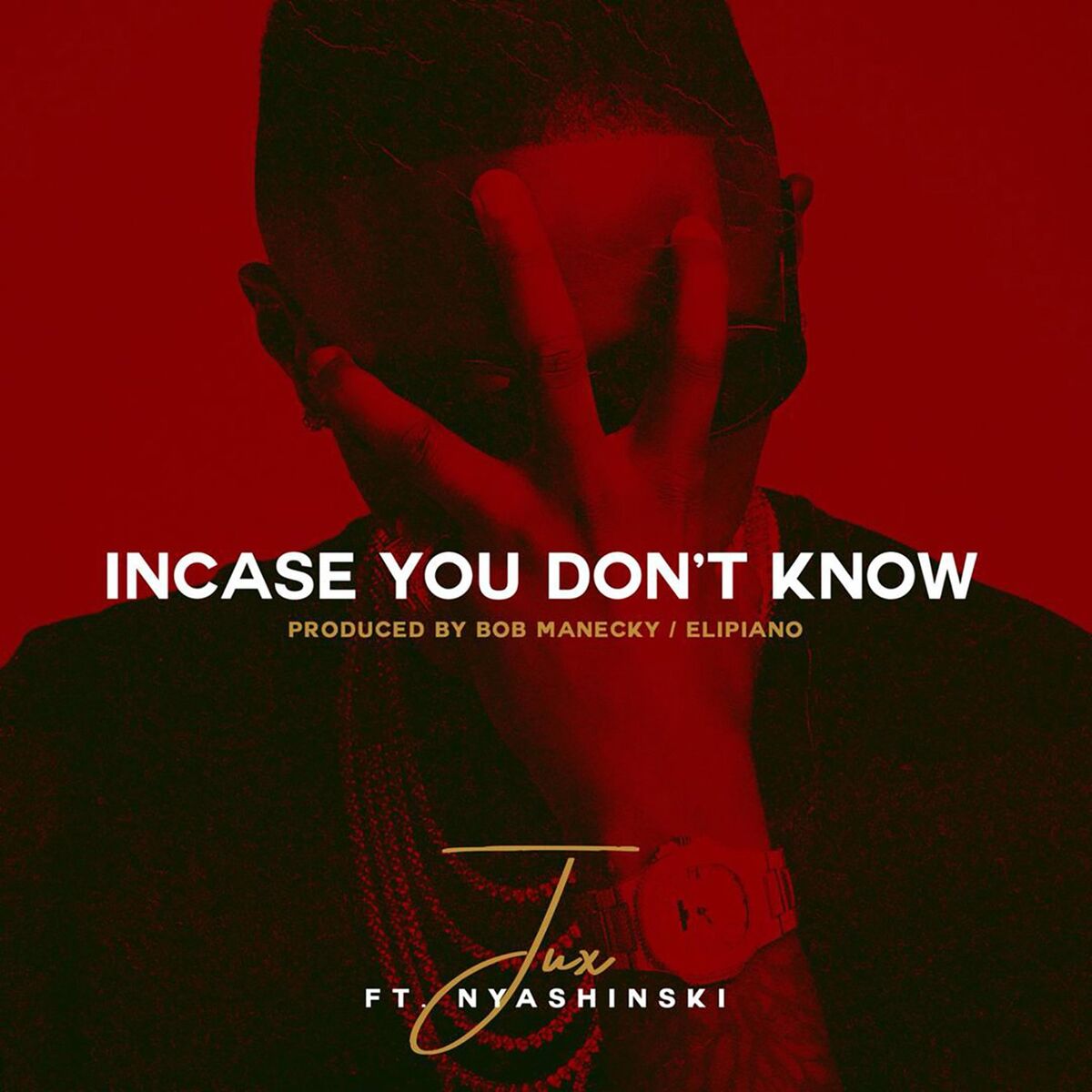 Album cover of In Case You Don't Know (feat. Nyashinski)
