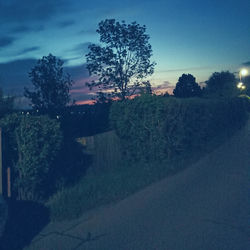 Cover of september III: hope by undefined