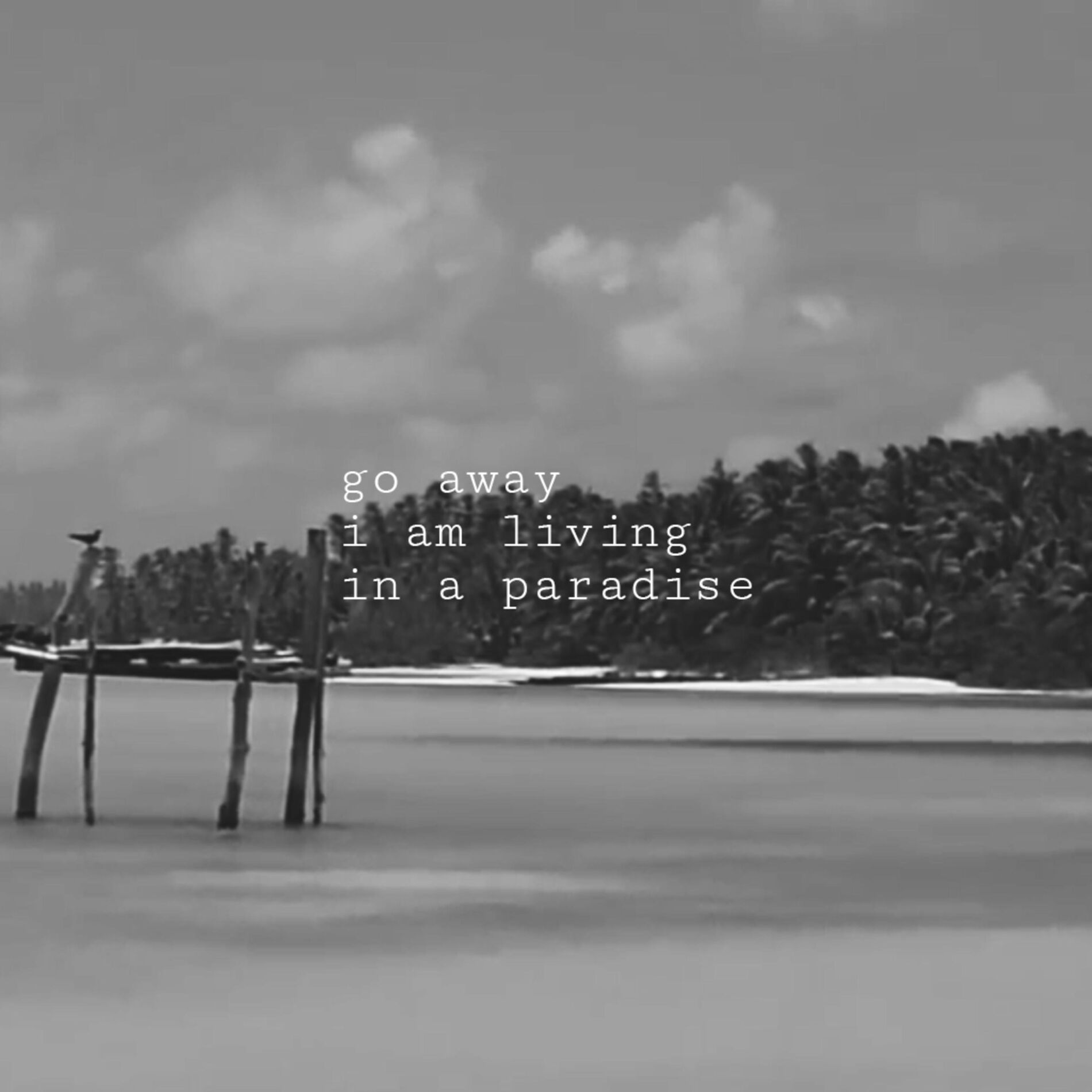Album cover of go away i am living in a paradise