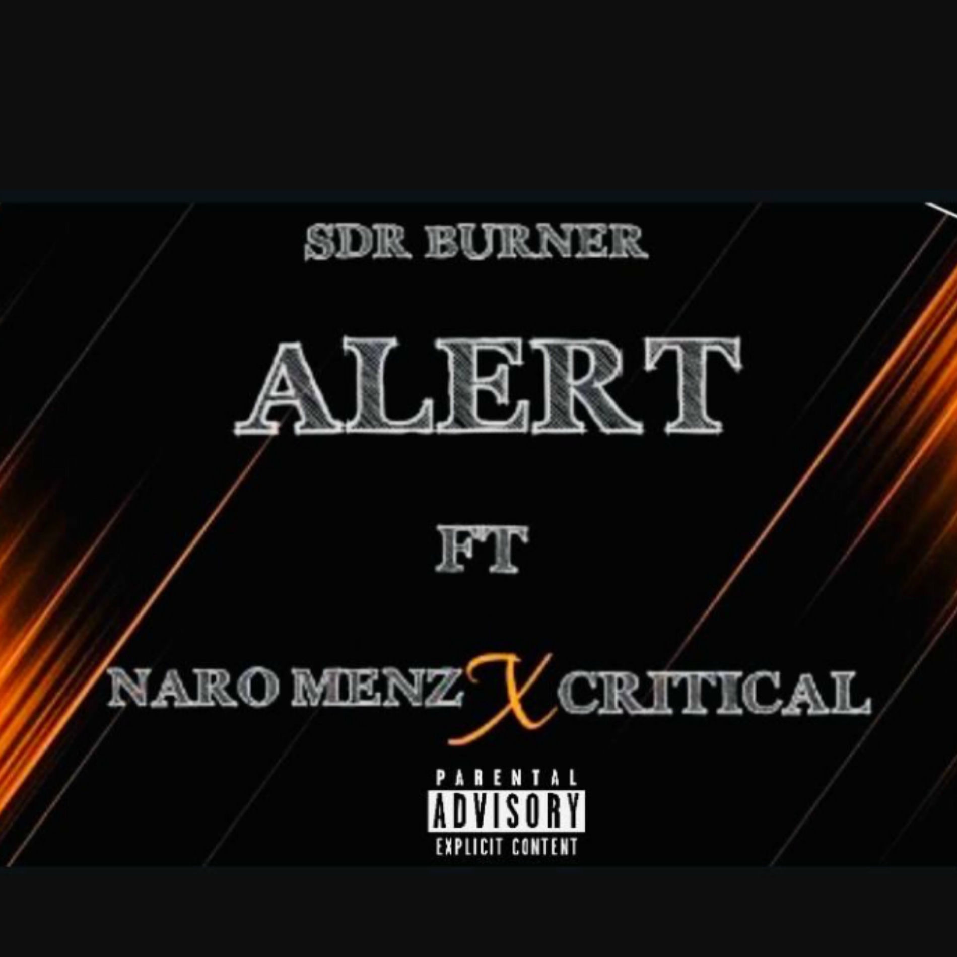 Album cover of Alert
