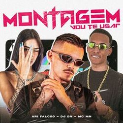 Montagem Vou Te Usar